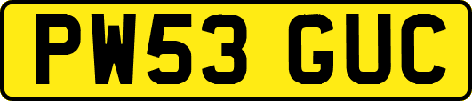 PW53GUC