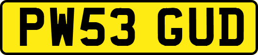 PW53GUD