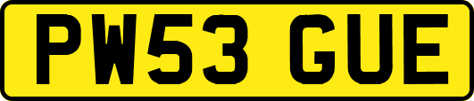 PW53GUE