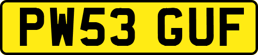 PW53GUF