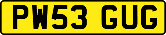PW53GUG