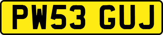 PW53GUJ