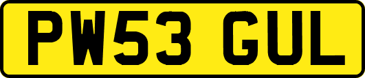 PW53GUL