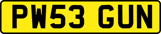 PW53GUN