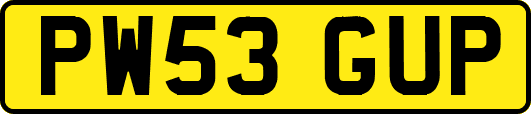 PW53GUP