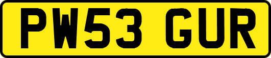 PW53GUR