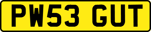 PW53GUT