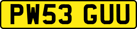 PW53GUU