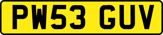 PW53GUV