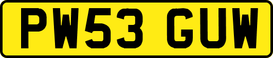 PW53GUW