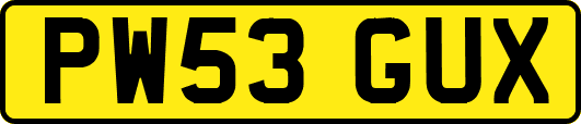 PW53GUX