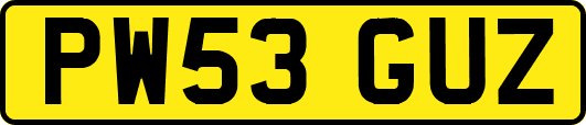PW53GUZ