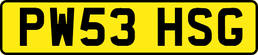 PW53HSG