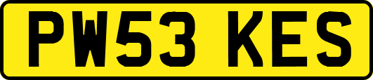 PW53KES