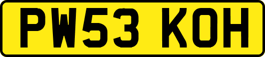 PW53KOH