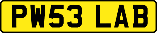 PW53LAB
