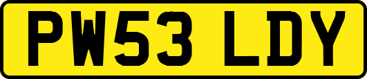 PW53LDY