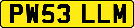 PW53LLM