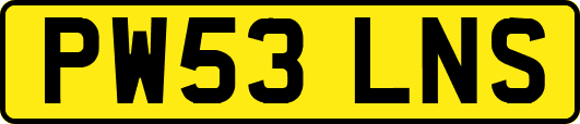 PW53LNS