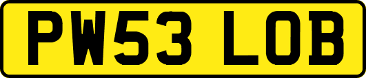 PW53LOB