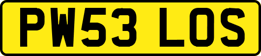 PW53LOS