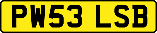 PW53LSB
