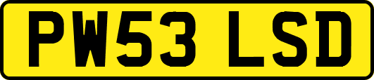 PW53LSD