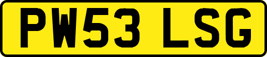 PW53LSG