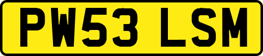 PW53LSM
