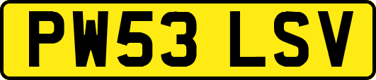 PW53LSV