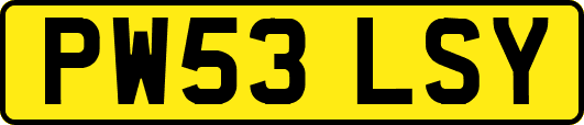 PW53LSY