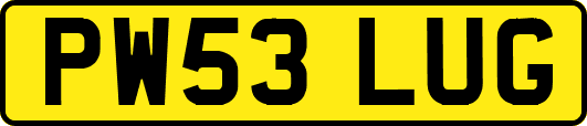 PW53LUG