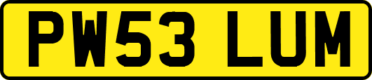 PW53LUM