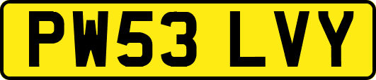 PW53LVY