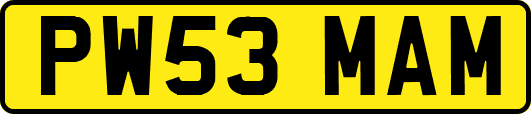 PW53MAM