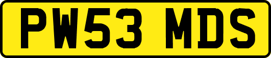 PW53MDS