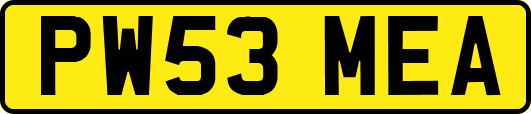 PW53MEA