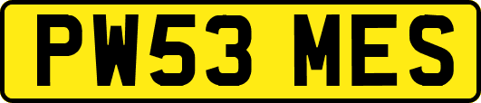 PW53MES