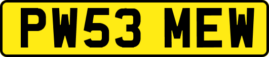 PW53MEW
