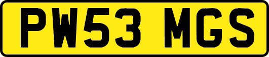 PW53MGS