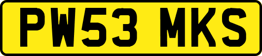 PW53MKS