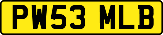 PW53MLB