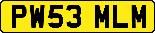 PW53MLM