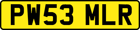 PW53MLR