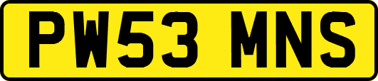 PW53MNS