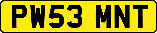 PW53MNT