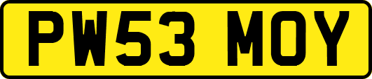 PW53MOY