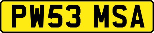PW53MSA