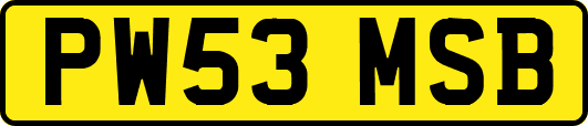 PW53MSB