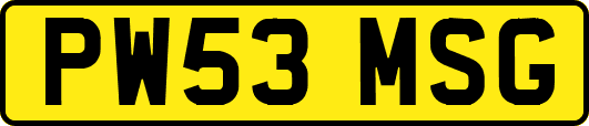 PW53MSG